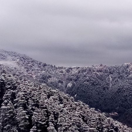 Shimla Regency酒店 外观 照片