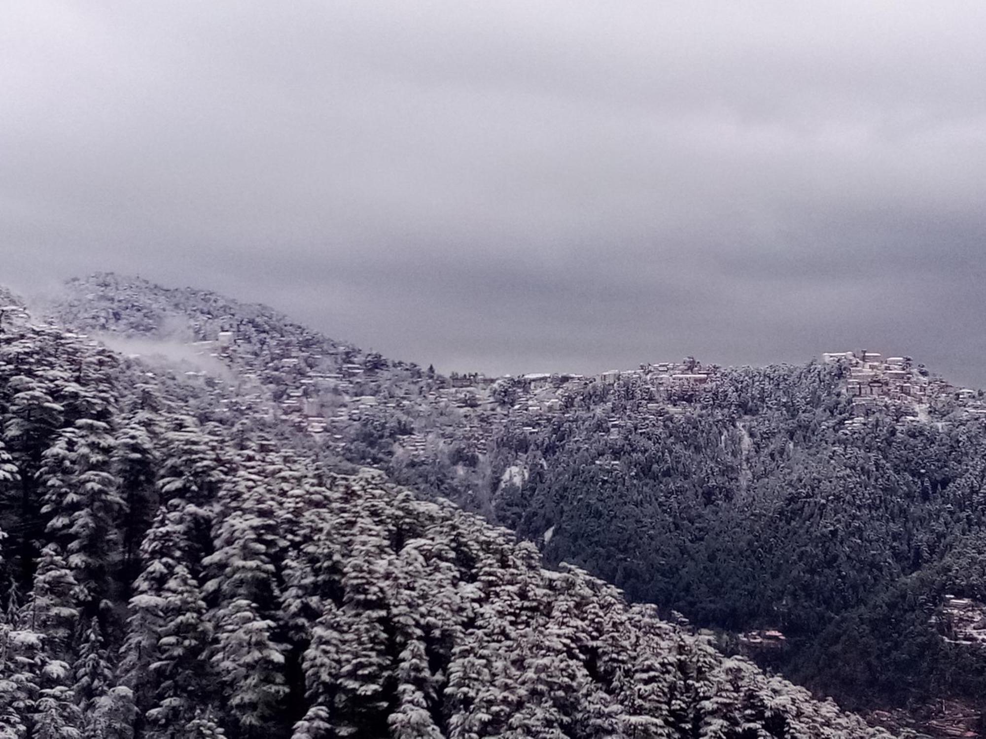 Shimla Regency酒店 外观 照片